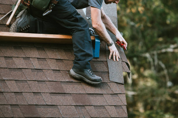 Best Metal Roofing Contractor  in Lafayette, IN